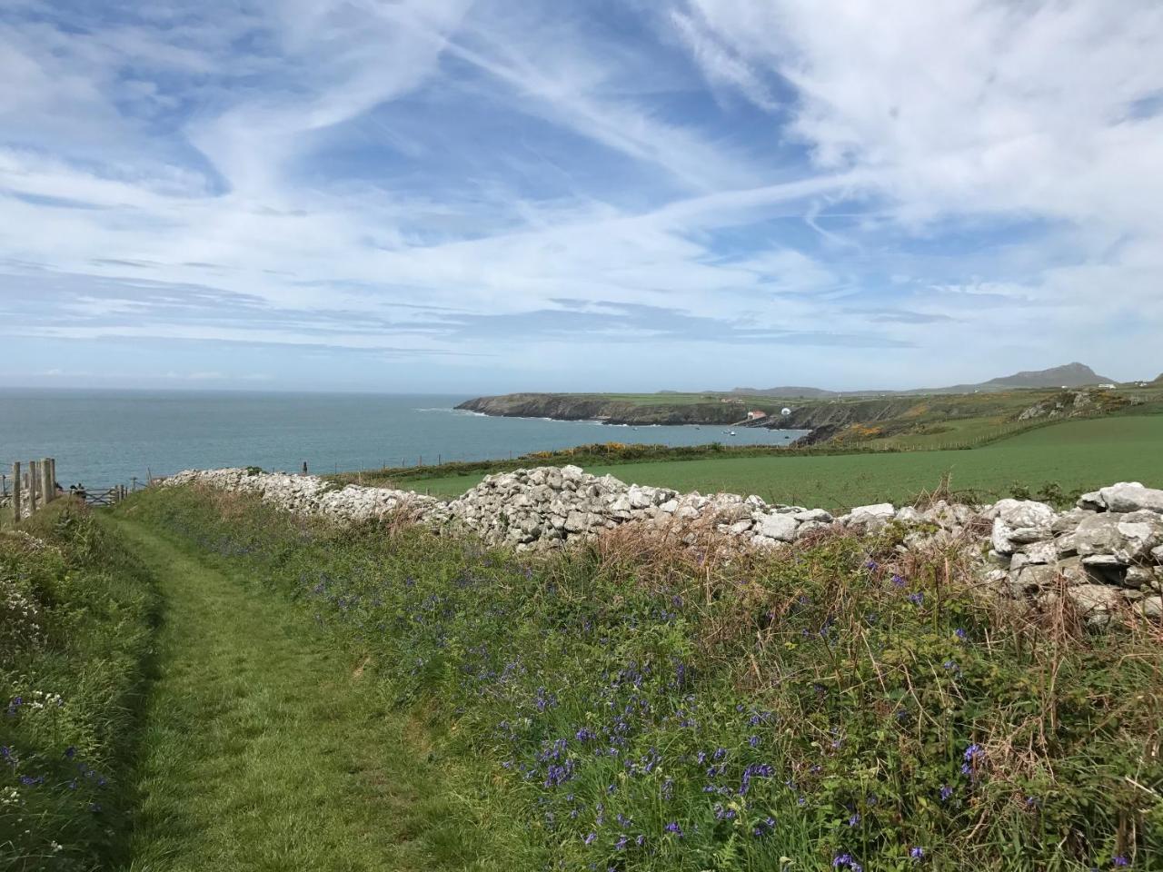 The Cambrian Inn Solva Exteriör bild